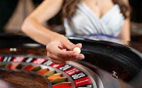 Sic Bo live table with three dice and transparent cup